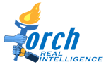TorchRealIntelligence (002)